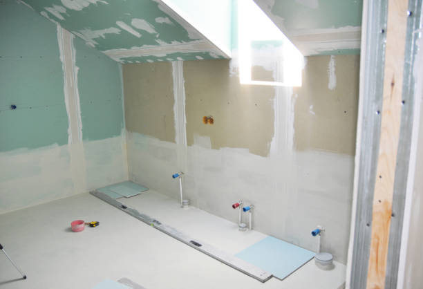 Trusted Plano, IL Mold Removal Experts
