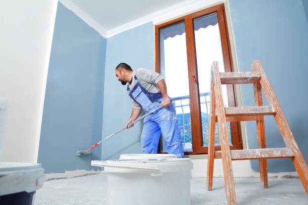Environmental Consulting for Mold Prevention in Plano, IL