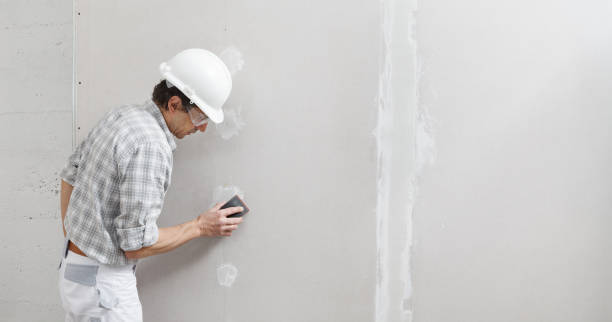 Best Forensic Mold Investigation  in Plano, IL
