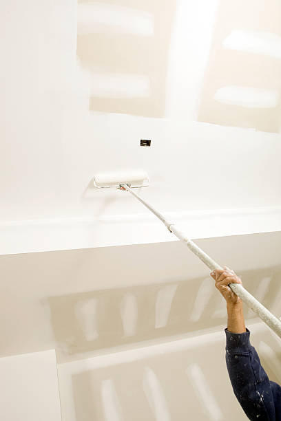 Best Asbestos and Lead Testing During Mold Inspection  in Plano, IL