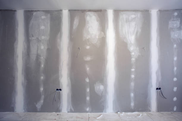 Best Emergency Mold Remediation  in Plano, IL
