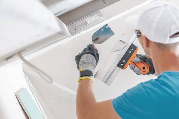 Best Water Damage & Mold Remediation  in Plano, IL